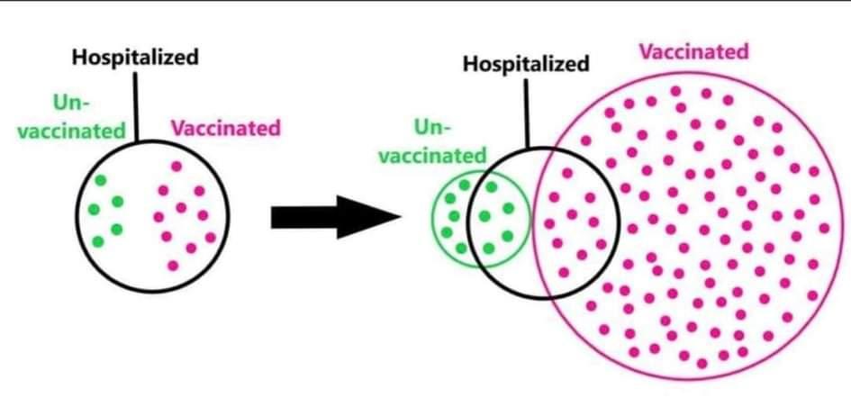 The positive predictive value can be used to explain why there are more vaccinated people in the hospital than unvaccinated people.