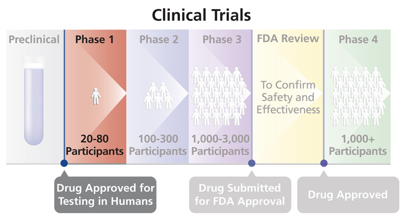 Four phases of clinical research. <a href="https://clinicalinfo.hiv.gov/en/glossary/phase-1-trial">Source</a>.